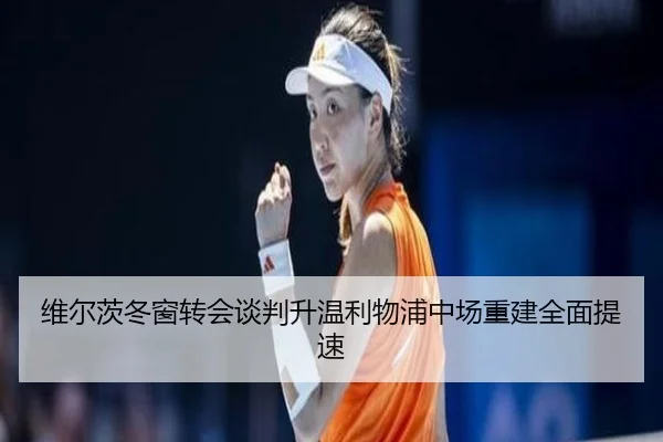 维尔茨冬窗转会谈判升温利物浦中场重建全面提速